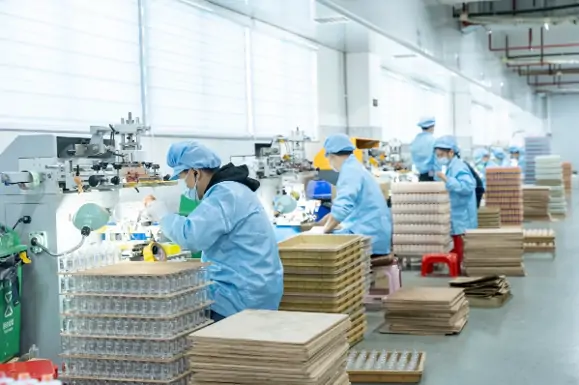 Quality Control and Validation of the Packaging Process