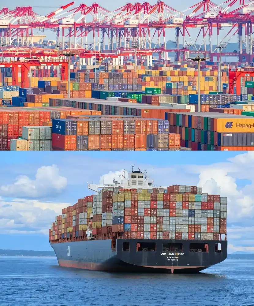 Detailed Overview of International Logistics, Express, and Sea Freight